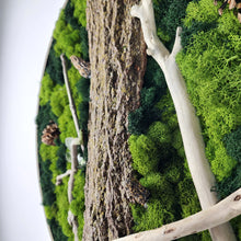 Load image into Gallery viewer, Mystic Journey