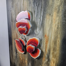 Load image into Gallery viewer, "Evolution"