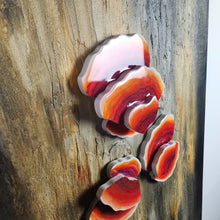 Load image into Gallery viewer, "Evolution"