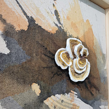 Load image into Gallery viewer, Shroomy #2