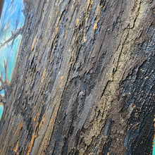 Load image into Gallery viewer, "I'm still here!"