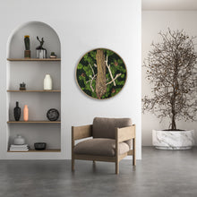 Load image into Gallery viewer, Mystic Journey