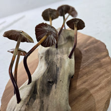 Load image into Gallery viewer, "Mushroom madness" Metal sculpture