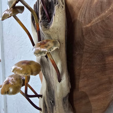 Load image into Gallery viewer, "Mushroom madness" Metal sculpture