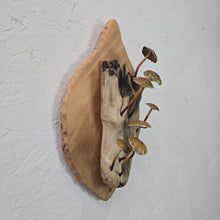 Load image into Gallery viewer, "Mushroom madness" Metal sculpture