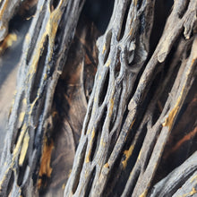 Load image into Gallery viewer, "Life of the Dead"