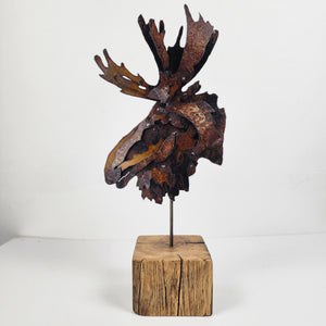 "Stanley"  the moose metal art sculpture